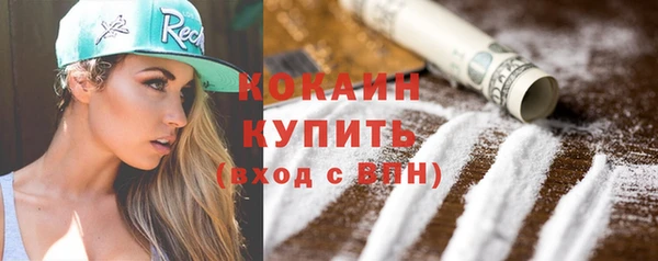прущие грибы Балахна