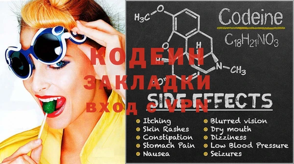 прущие грибы Балахна