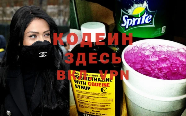 прущие грибы Балахна