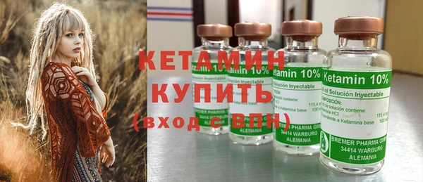 прущие грибы Балахна