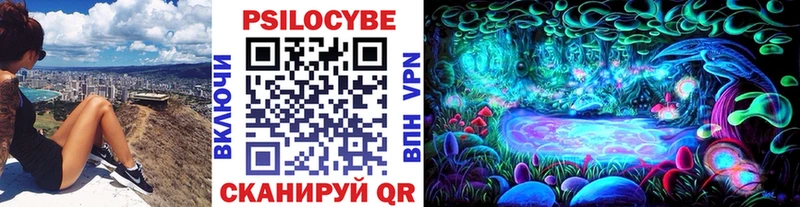 сколько стоит  Губаха  Псилоцибиновые грибы Magic Shrooms 